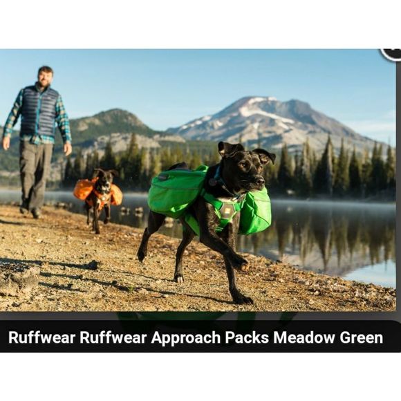 RuffWear Other - Orange Ruffwear Approach packs for dogs L/XL Orange poppy